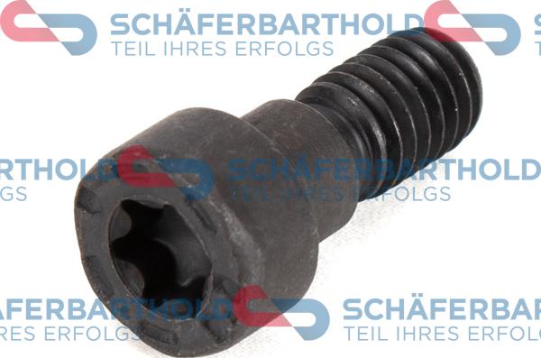 Schferbarthold 100 02 305 01 22 - Vis, roue dentée-arbre à came droxauto.com