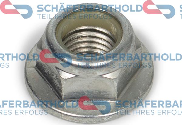 Schferbarthold 100 16 306 01 11 - Écrou, bout d'essieu droxauto.com