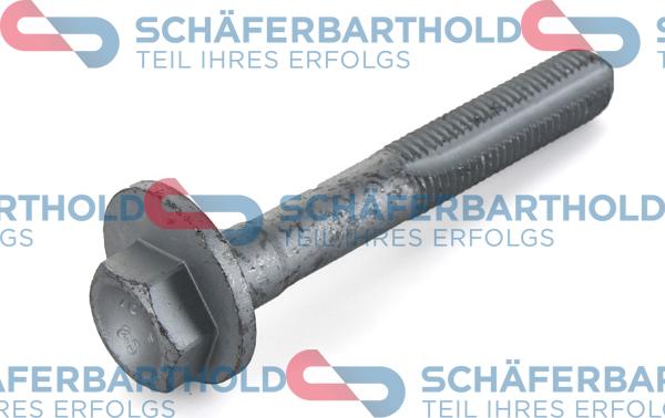 Schferbarthold 100 16 323 01 11 - Vis, bras transversal droxauto.com