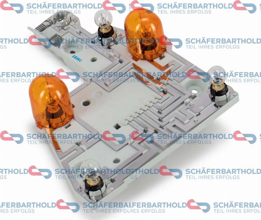 Schferbarthold 100 12 066 01 11 - Support de lampe, feu arrière droxauto.com