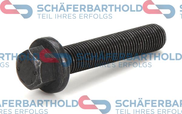 Schferbarthold 100 27 018 01 11 - Vis de poulie droxauto.com
