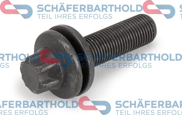 Schferbarthold 100 27 388 01 11 - Vis, roue dentée-arbre à came droxauto.com