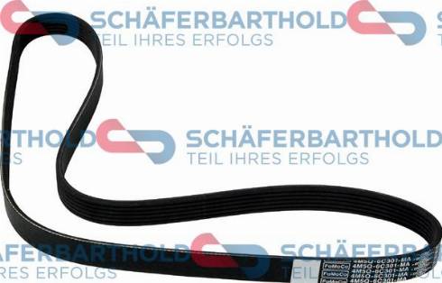 Schferbarthold 300 06 874 01 11 - Courroie trapézoïdale à nervures droxauto.com