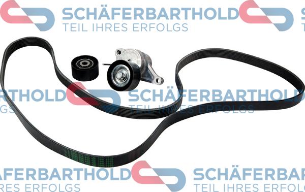 Schferbarthold 300 16 600 01 12 - Jeu de courroies trapézoïdales à nervures droxauto.com