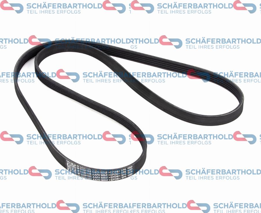 Schferbarthold 300 16 824 01 11 - Courroie trapézoïdale à nervures droxauto.com