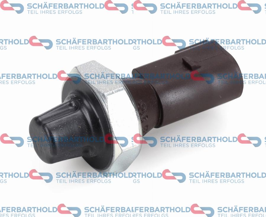 Schferbarthold 319 18 866 01 22 - Capteur, pression d'huile droxauto.com