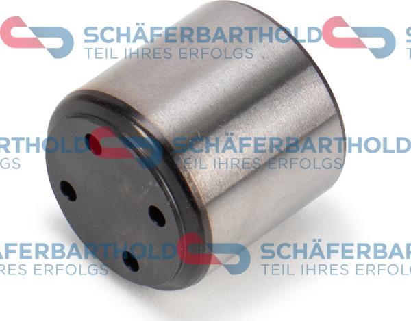Schferbarthold 319 18 222 01 11 - Poussoir de soupape droxauto.com