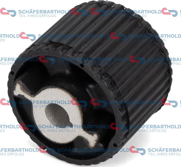 Schferbarthold 314 02 445 01 11 - Suspension, corps de l'essieu droxauto.com