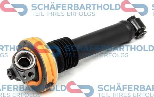Schferbarthold 314 26 188 01 11 - Jambe de suspension droxauto.com