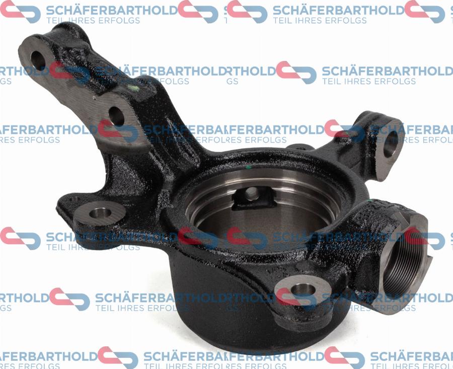 Schferbarthold 314 28 053 01 11 - Fusée d'essieu, suspension de roue droxauto.com