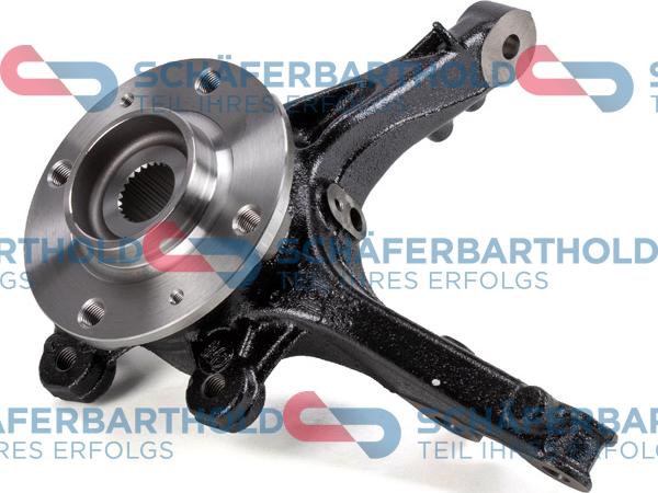 Schferbarthold 314 27 010 01 11 - Fusée d'essieu, suspension de roue droxauto.com