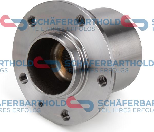 Schferbarthold 315 27 170 01 11 - Kit de roulements de roue droxauto.com