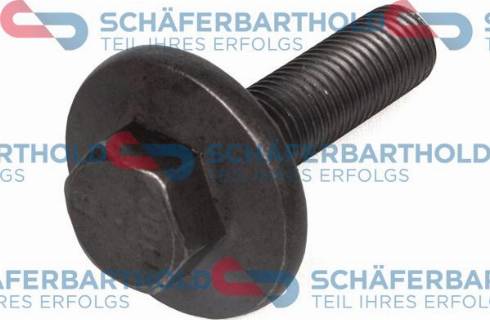 Schferbarthold 310 06 602 01 11 - Vis de poulie droxauto.com