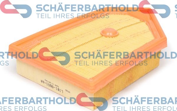 Schferbarthold 310 06 153 01 11 - Filtre à air droxauto.com