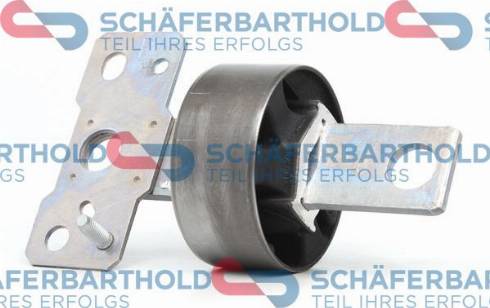 Schferbarthold 310 06 188 01 11 - Suspension, corps de l'essieu droxauto.com