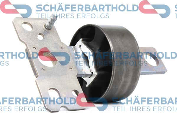 Schferbarthold 310 06 187 01 11 - Suspension, corps de l'essieu droxauto.com