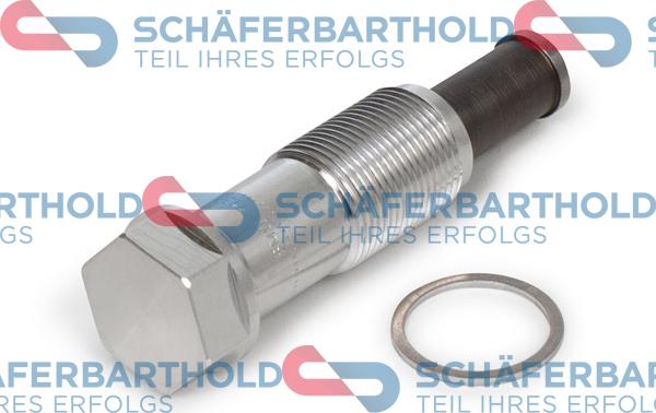 Schferbarthold 310 02 538 01 11 - Tendeur, chaîne de distribution droxauto.com