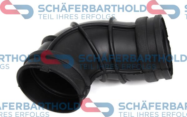 Schferbarthold 310 16 981 01 11 - Tuyau d'aspiration, alimentation d'air droxauto.com