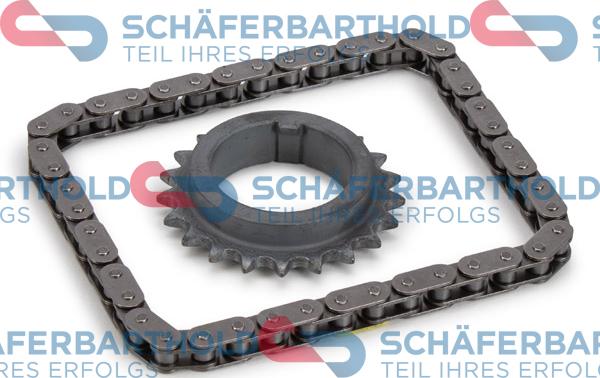 Schferbarthold 310 16 600 01 11 - Kit de distribution par chaîne droxauto.com
