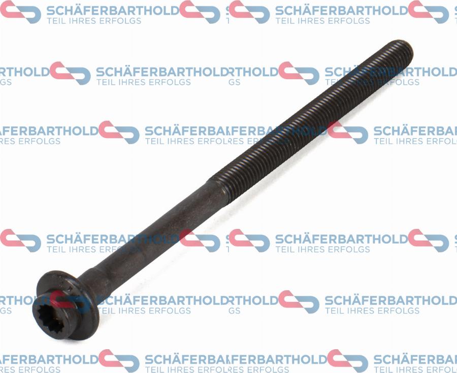 Schferbarthold 310 38 601 01 11 - Vis de culasse droxauto.com