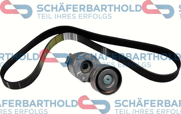 Schferbarthold 310 28 529 01 11 - Jeu de courroies trapézoïdales à nervures droxauto.com