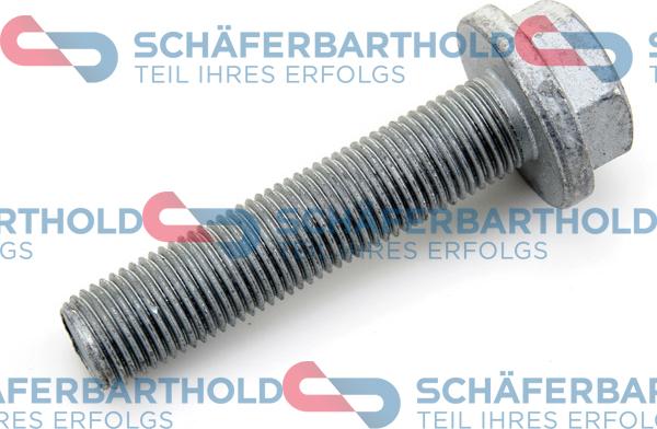 Schferbarthold 310 28 697 01 11 - Vis de poulie droxauto.com