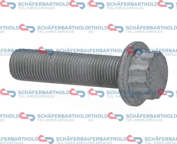 Schferbarthold 310 28 057 01 11 - Vis de poulie droxauto.com