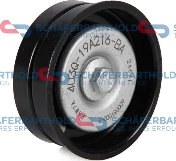 Schferbarthold 310 27 446 01 11 - Poulie renvoi / transmission, courroie trapézoïdale à nervures droxauto.com