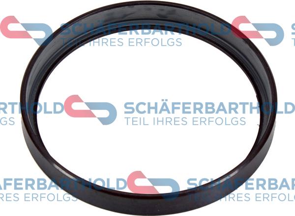 Schferbarthold 310 27 605 01 11 - Anneau de palpeur, ABS droxauto.com