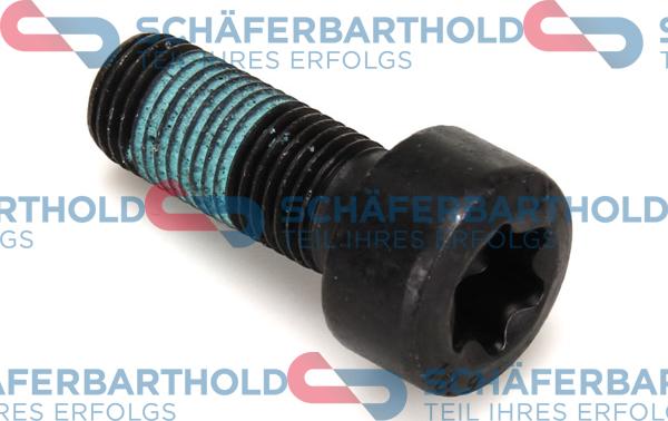 Schferbarthold 310 27 608 01 11 - Vis de volant moteur droxauto.com