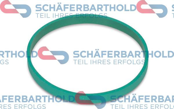 Schferbarthold 313 02 944 01 22 - Joint d'étanchéité, carter de collecteur d'admission droxauto.com