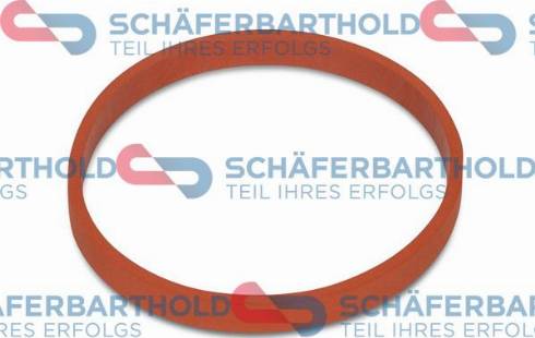 Schferbarthold 313 02 943 01 11 - Joint d'étanchéité, carter de collecteur d'admission droxauto.com
