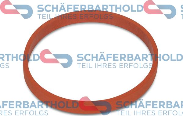 Schferbarthold 313 02 943 01 22 - Joint d'étanchéité, carter de collecteur d'admission droxauto.com