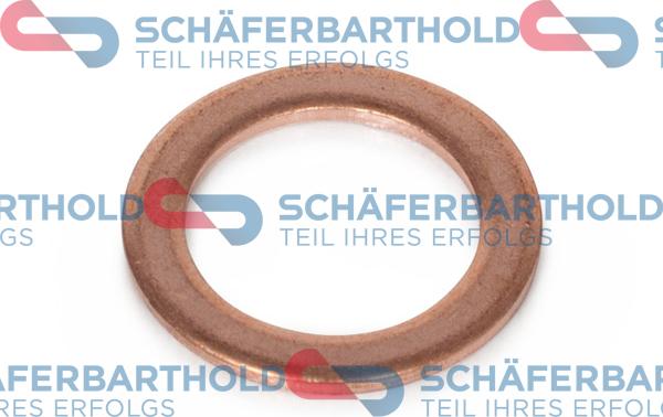 Schferbarthold 313 02 007 01 11 - Joint, entrée d'huile (compresseur) droxauto.com