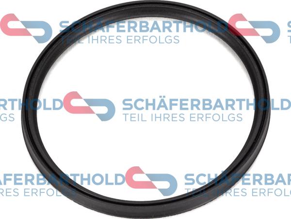 Schferbarthold 313 02 036 01 22 - Bague d'étanchéité, gaine de suralimentation droxauto.com