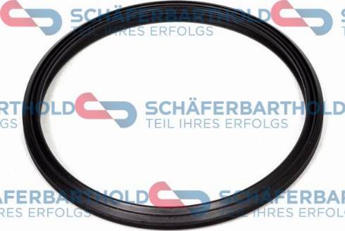 Schferbarthold 313 02 311 01 11 - Bague d'étanchéité, gaine de suralimentation droxauto.com