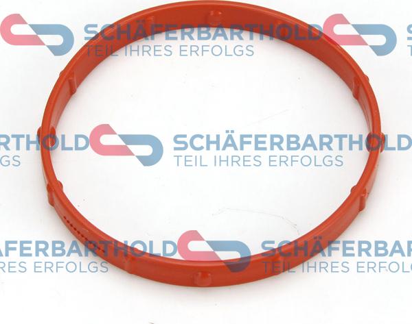 Schferbarthold 313 16 003 01 11 - Joint d'étanchéité, carter de collecteur d'admission droxauto.com