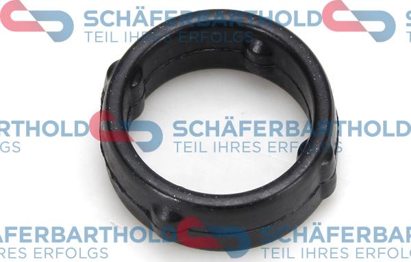 Schferbarthold 313 16 012 01 11 - Joint d'étanchéité, carter de distribution droxauto.com