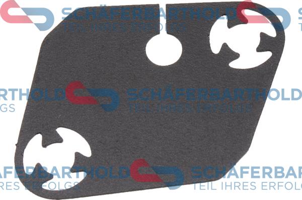 Schferbarthold 313 16 106 01 22 - Joint d'étanchéité, tendeur de chaîne de distribution droxauto.com