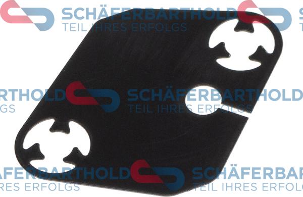Schferbarthold 313 16 101 01 11 - Joint d'étanchéité, tendeur de chaîne de distribution droxauto.com