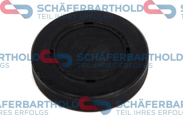 Schferbarthold 313 28 437 01 11 - Bouchon, axe de culbuteurs-nez fileté droxauto.com