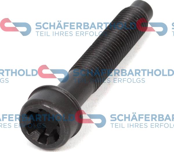 Schferbarthold 317 08 129 01 11 - Vis de culasse droxauto.com