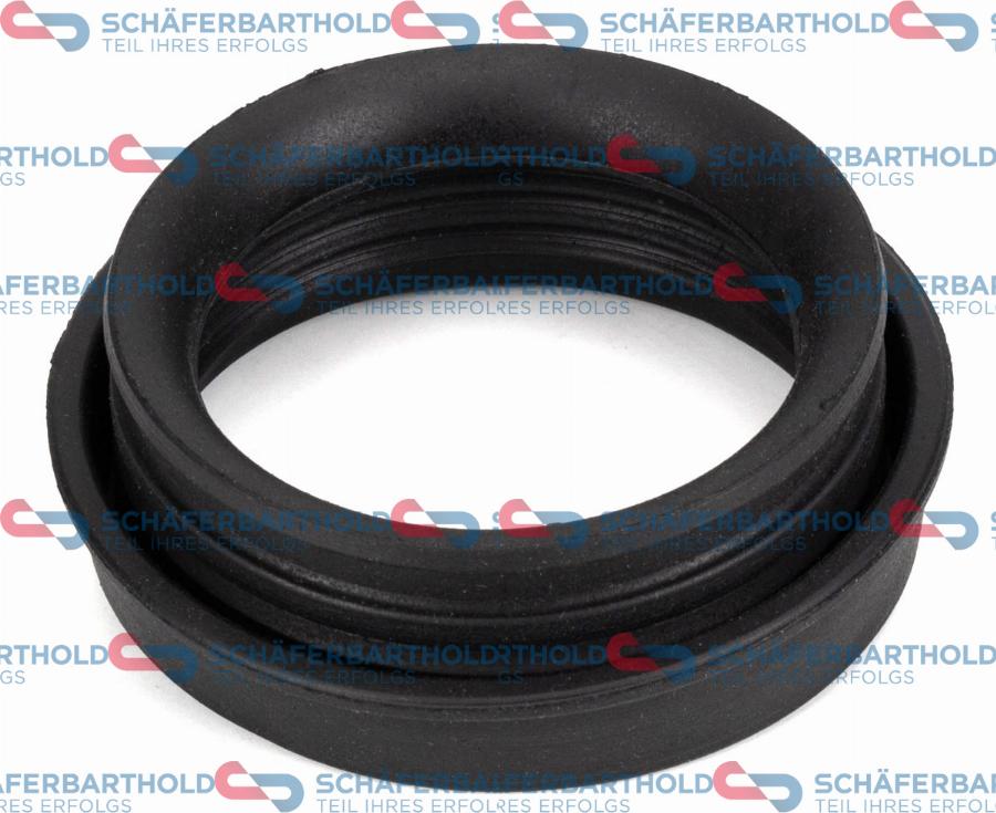 Schferbarthold 317 08 306 01 11 - Joint, entrée de turbine (compresseur) droxauto.com