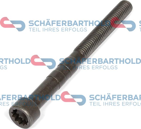 Schferbarthold 317 18 777 01 11 - Vis, axe de culbuteur droxauto.com
