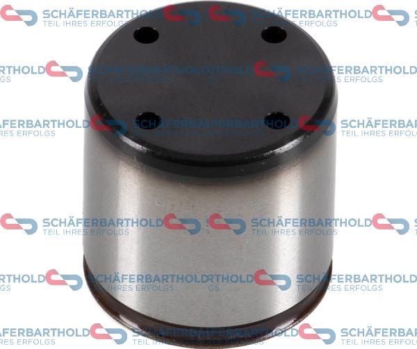 Schferbarthold 320 18 064 01 11 - Poussoir de soupape droxauto.com