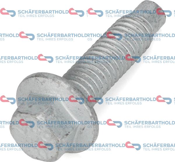 Schferbarthold 320 18 145 01 22 - Vis, système d'échappement droxauto.com