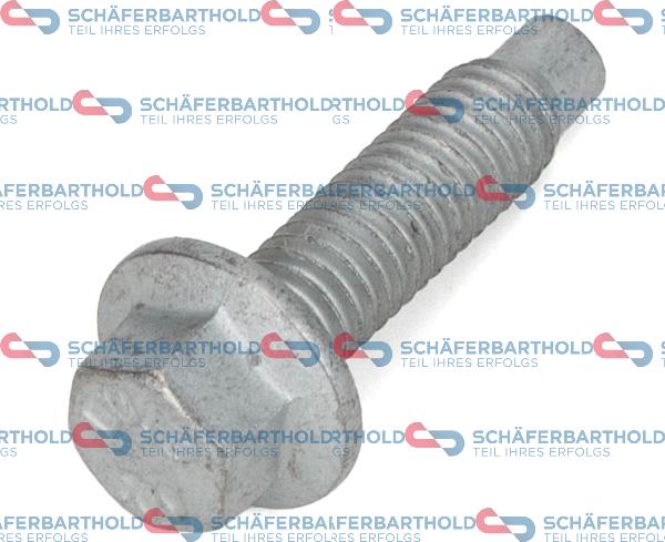 Schferbarthold 320 18 102 01 11 - Vis, système d'échappement droxauto.com