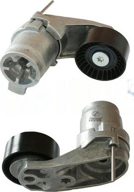 SCHNIEDER AUTOTECH BMS24.00175 - Poulie renvoi / transmission, courroie trapézoïdale à nervures droxauto.com