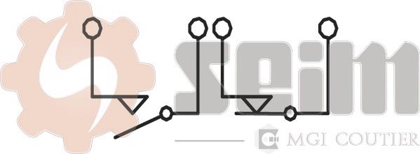 Seim FR82 - Contacteur, feu de recul droxauto.com