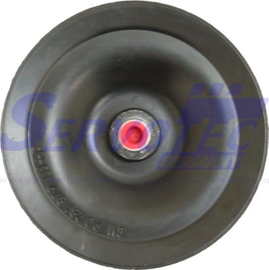 SERVOTEC STSP250 - Pompe hydraulique, direction droxauto.com